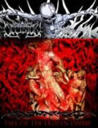 Occision : Fall of the Human Empire